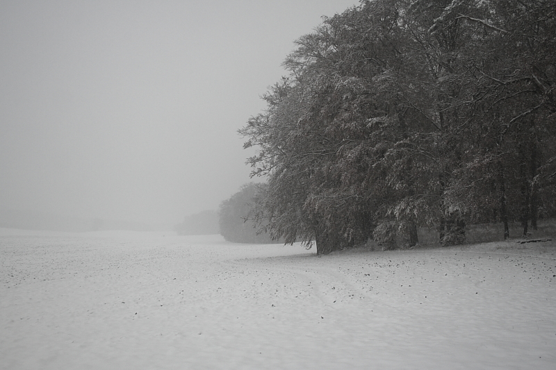 Killikus&reg; Fotographie